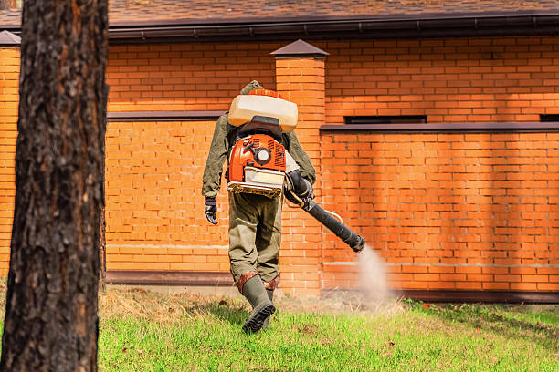 Trusted Cockroach Control service in Iyanbito, NM - Nex Pest Control